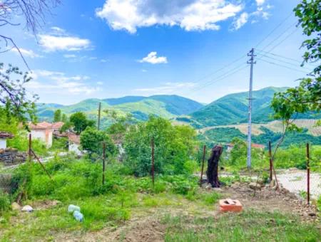 Tekirdağ Işiklar Köyünde Doğa Manzarali 2+1 Satilik Müstakil Ev