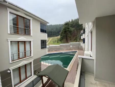 2 1-Sale Cottage Mit Natur Und Pool View In Kumba-Pool