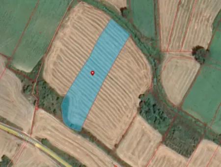 Field For Sale Between Naip Village And Çanakçı Village