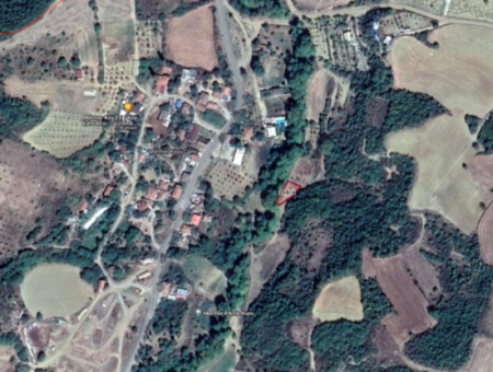 Orchard For Sale In Residential Area In Yeniköy