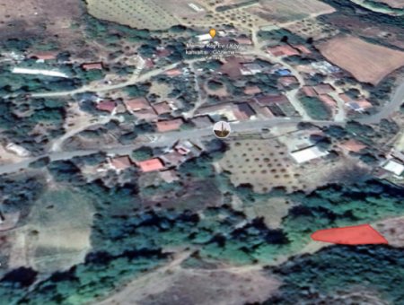 Orchard For Sale In Residential Area In Yeniköy